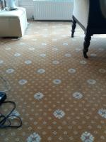 Smile Carpet Cleaning image 31